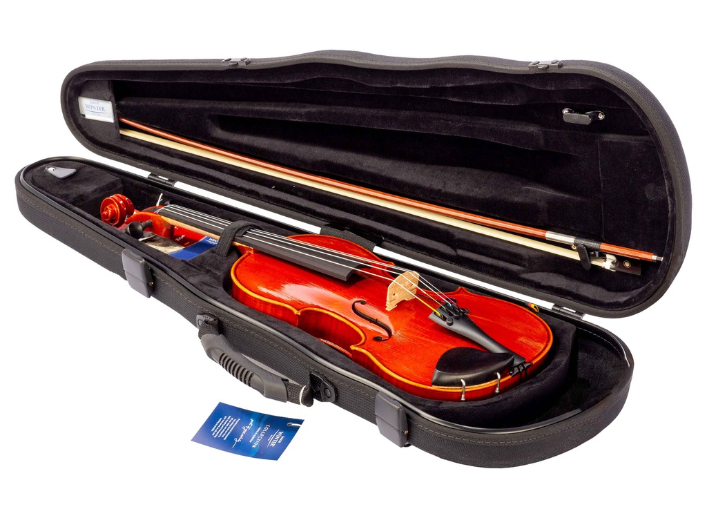 Karl deals hofner violin